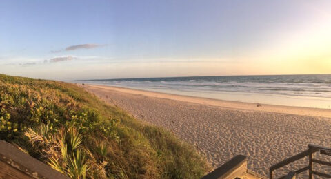 Canaveral-National-Seashore-via-NPS